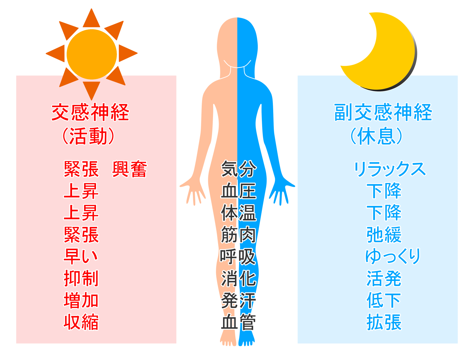 沖縄　自律神経の乱れ