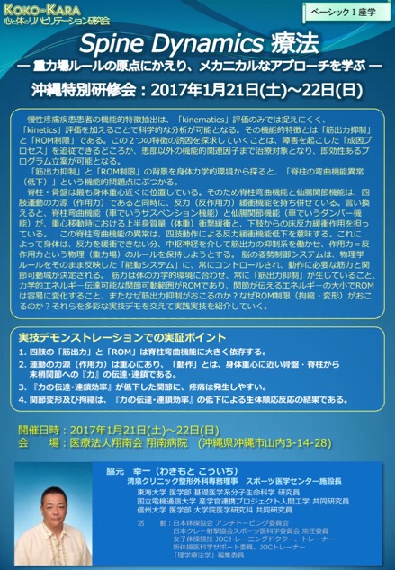 スパインダイナミクス療法 沖縄特別研修会